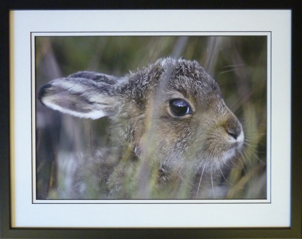 Examples of photography framing